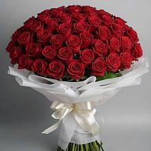 Букет 101 Красная роза Блэк Мэджик в Спасске Пензенской области