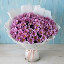 Букет цветов из:  Хризантемы в Спасске Пензенской области