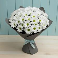 Букет цветов из:  Хризантемы в Спасске Пензенской области