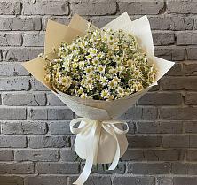 Букет цветов из:  Ромашки #REPLACE_PRED# Спасске Пензенской области