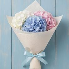 Букет цветов из:  Гортензия в Спасске Пензенской области