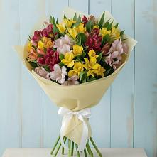 Букет цветов из:  Альстромерии #REPLACE_PRED# Спасске Пензенской области
