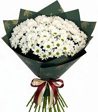 Букет цветов из:  Хризантемы #REPLACE_PRED# Спасске Пензенской области