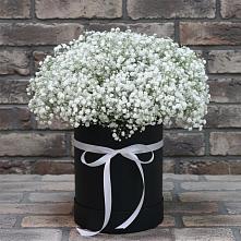 Цветочная композиция из Гипсофила в шляпной коробке #REPLACE_PRED# Спасске Пензенской области