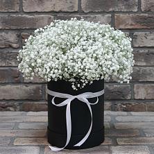 Цветочная композиция из Гипсофила в шляпной коробке в Спасске Пензенской области