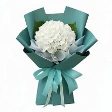 Букет цветов из:  Гортензия #REPLACE_PRED# Спасске Пензенской области